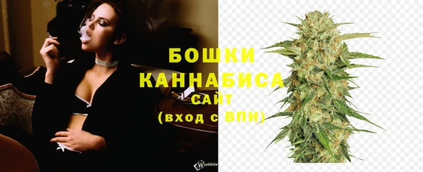 хмурый Гусиноозёрск