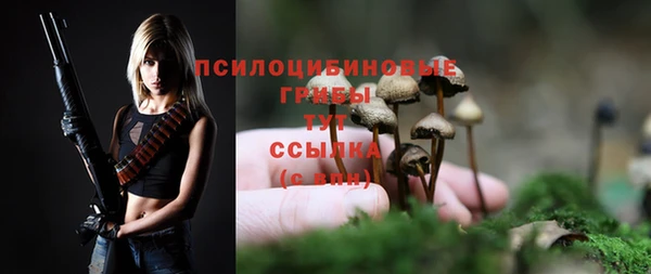 герыч Гусь-Хрустальный