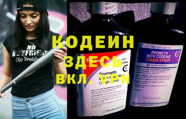 крисы Гусев