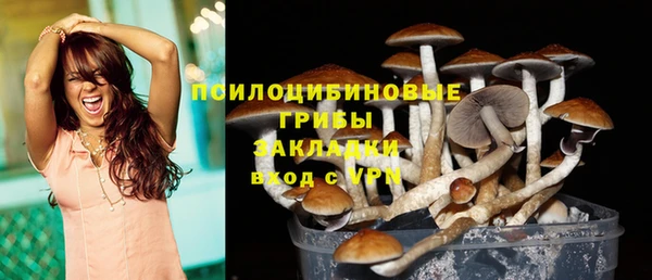 герыч Гусь-Хрустальный