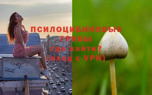 крисы Гусев